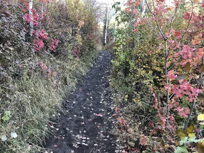 Hike, Run, Bike Rob's Trail in Park City