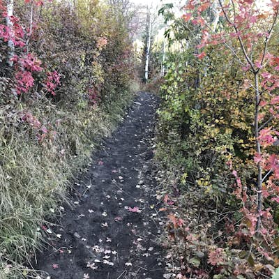 Hike, Run, Bike Rob's Trail in Park City