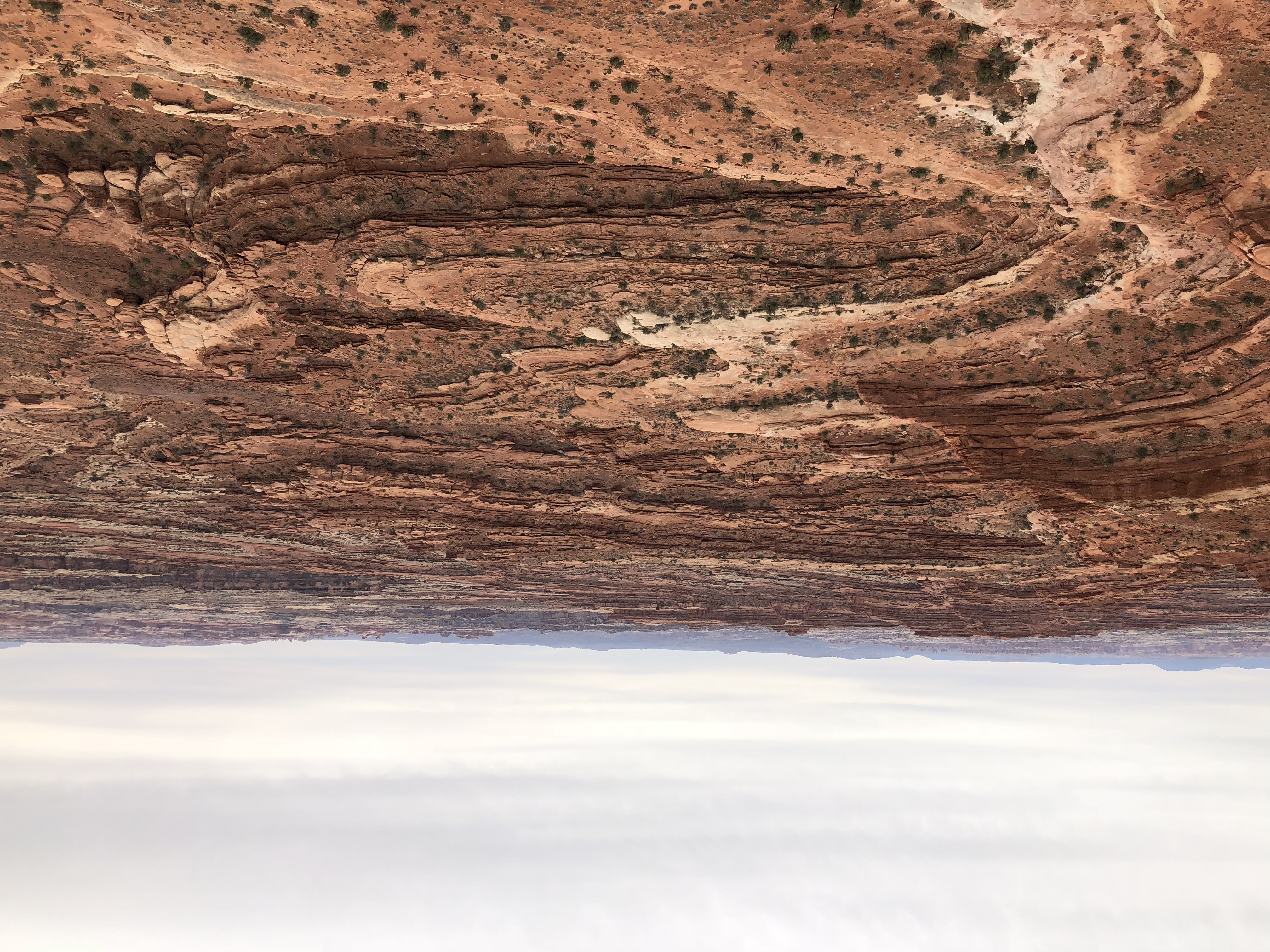 Camp along the White Rim Road in Canyonlands NP