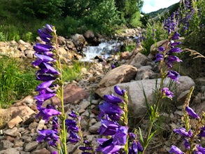 Hike Past Mining Relics in Daly Canyon
