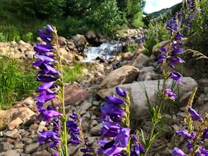 Hike Past Mining Relics in Daly Canyon