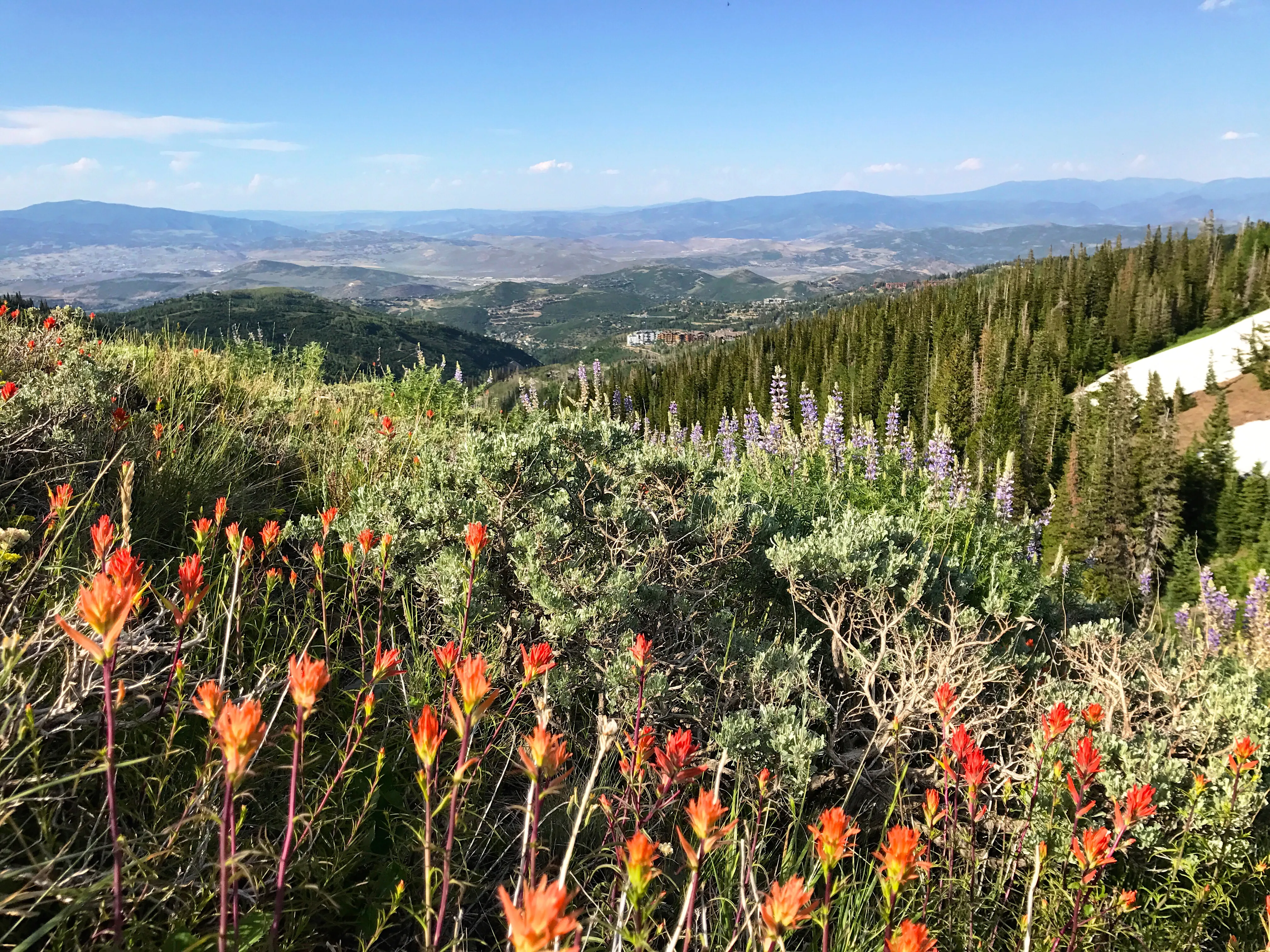 Hike Empire Pass Ridge