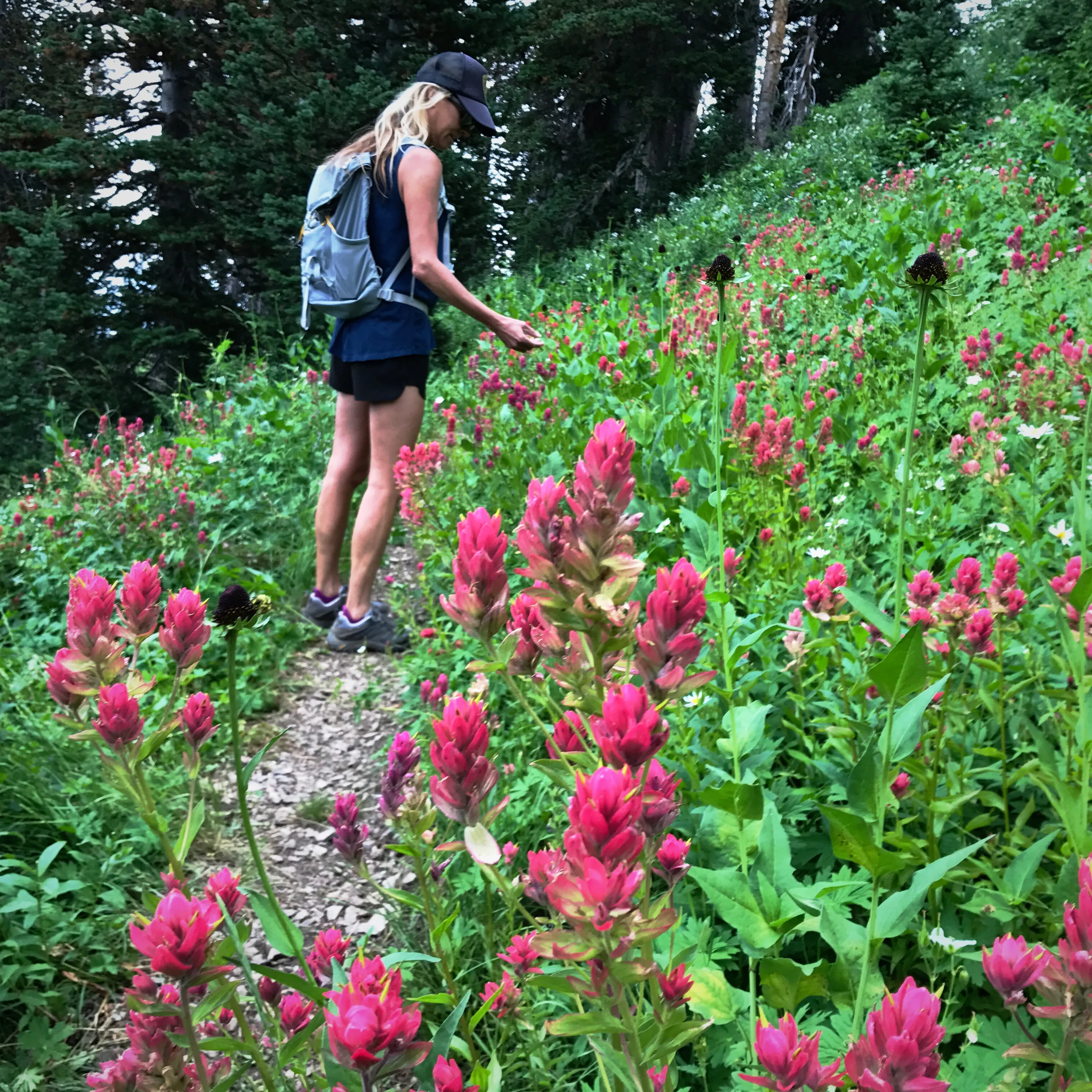 Hike Empire Pass Ridge