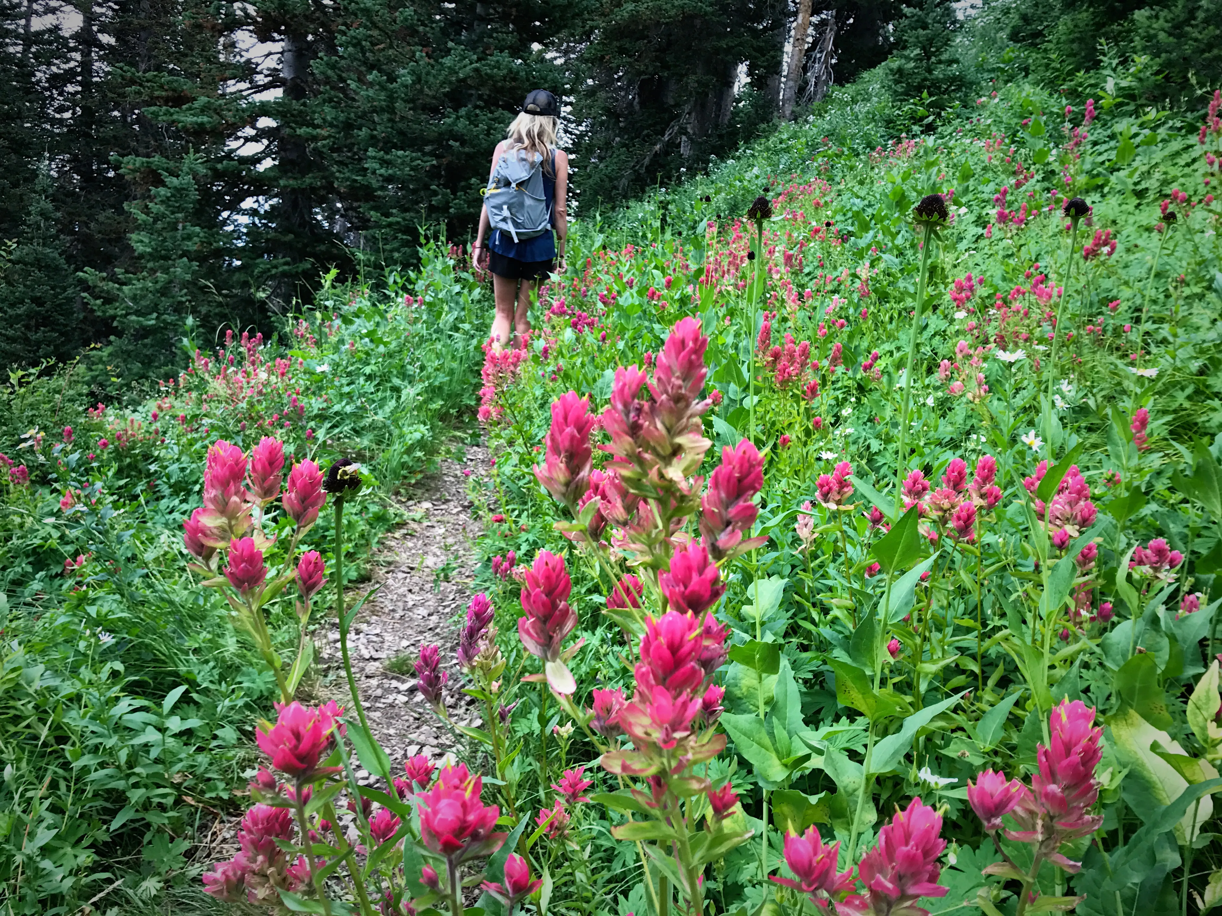 Hike Empire Pass Ridge