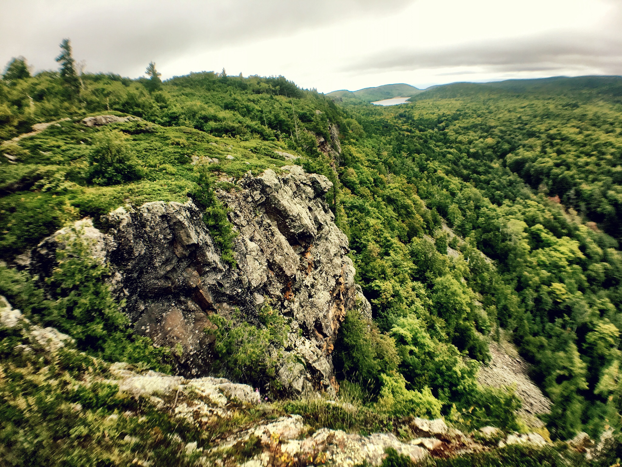 Escarpment Trail