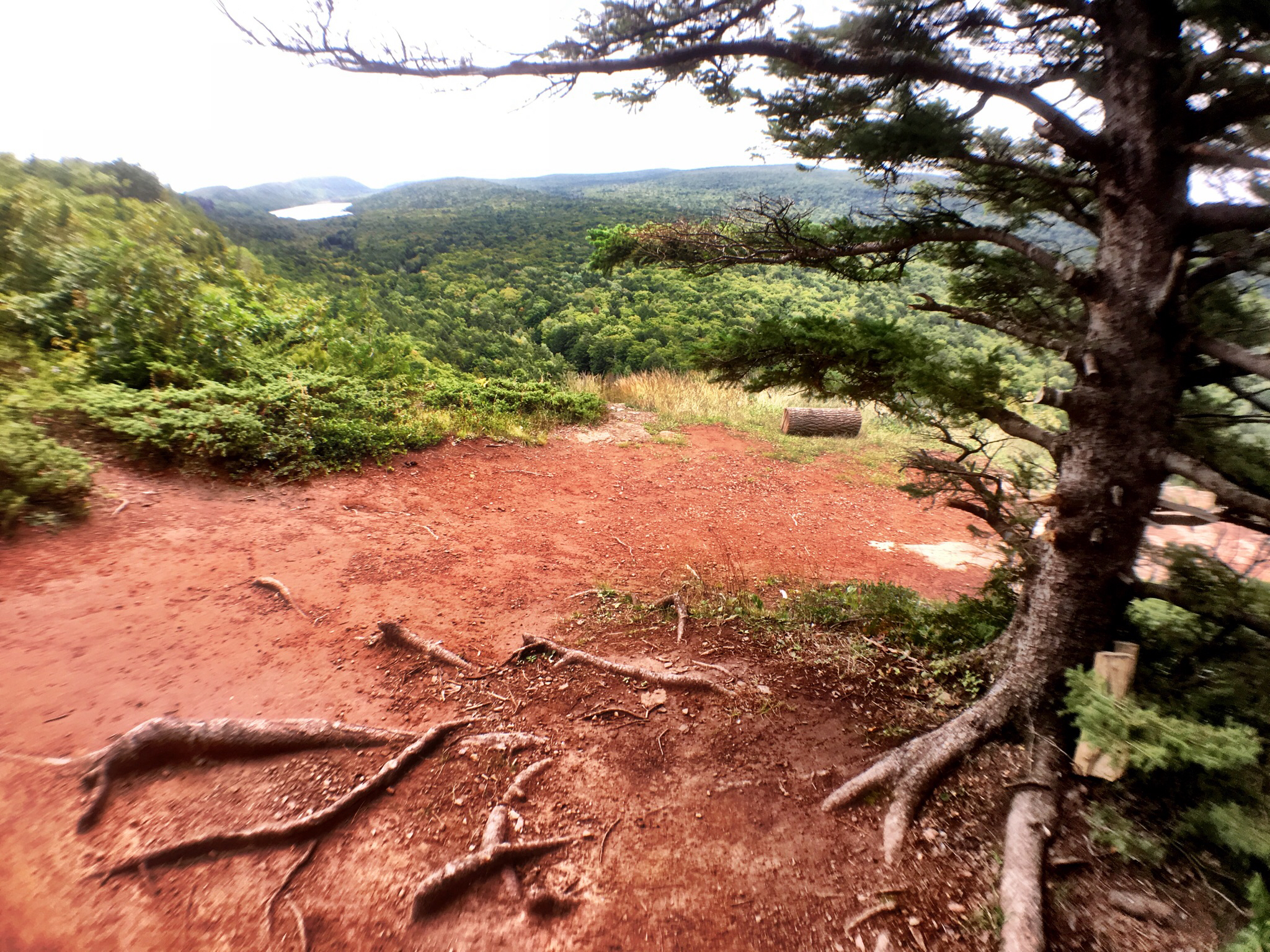 Escarpment Trail
