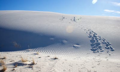 Explore White Sands National Monument