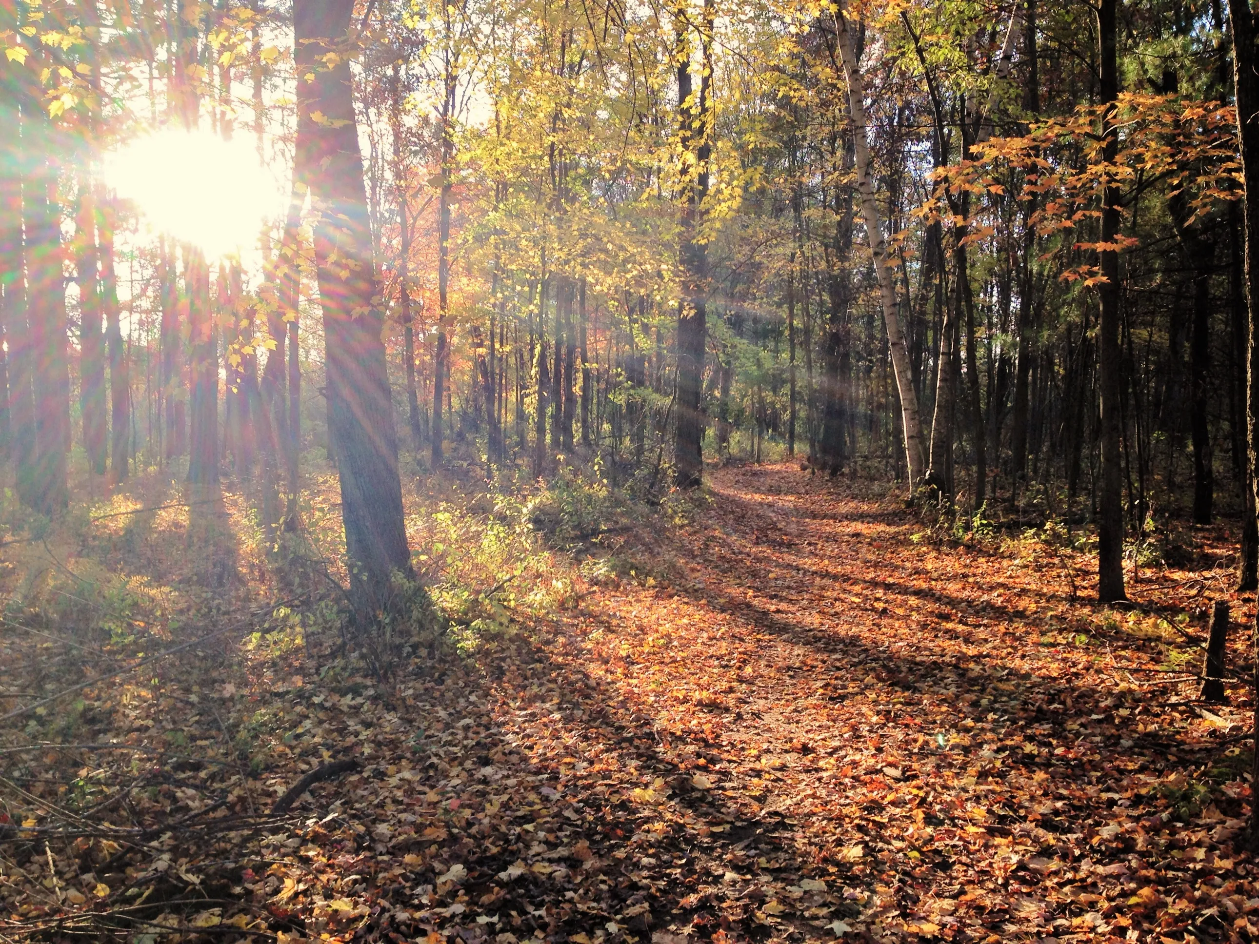 Bald Mountain Recreation Area Loop