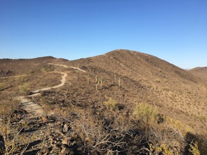 Arrowhead Point Loop