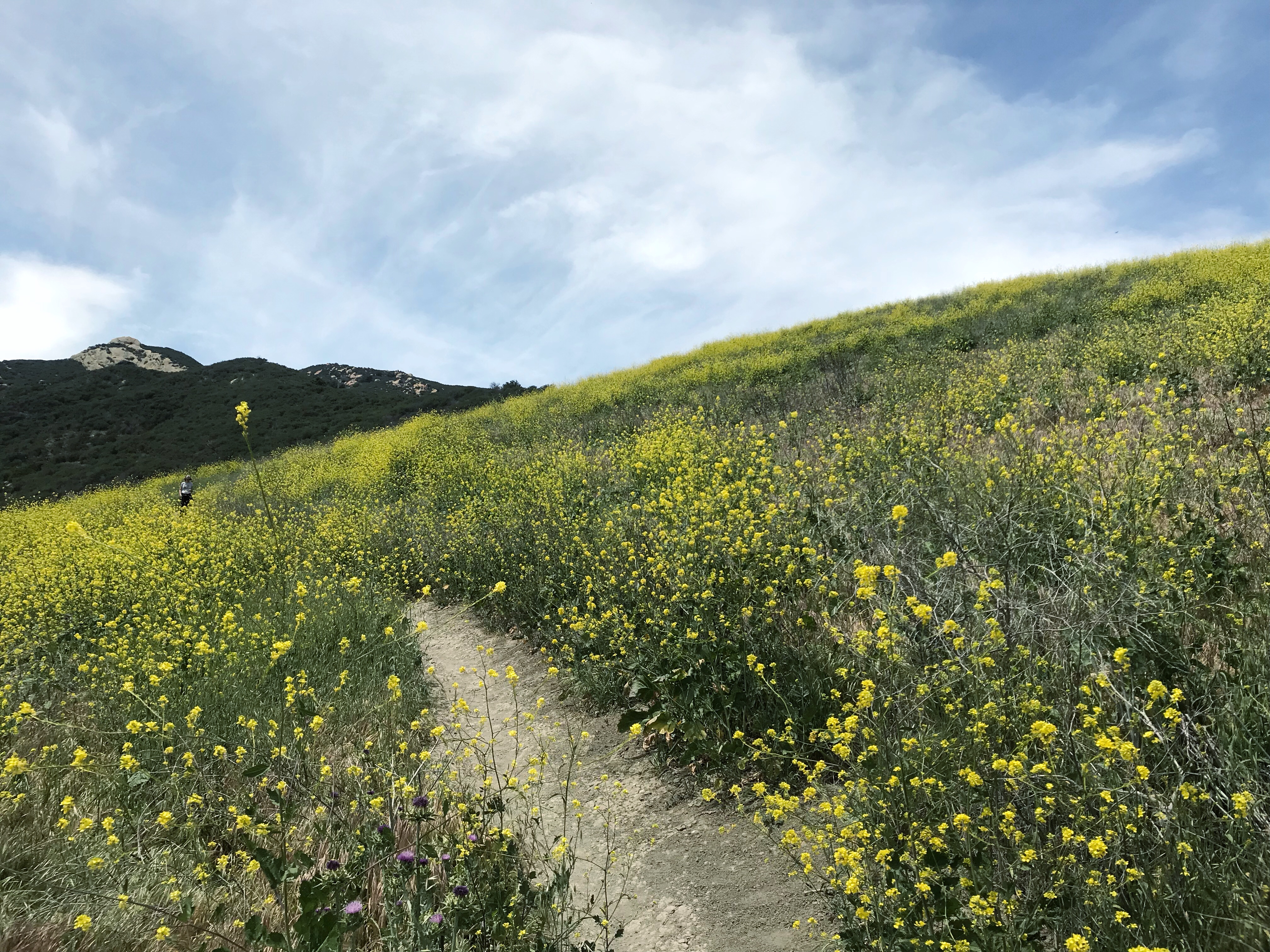 Gaviota Wind Caves