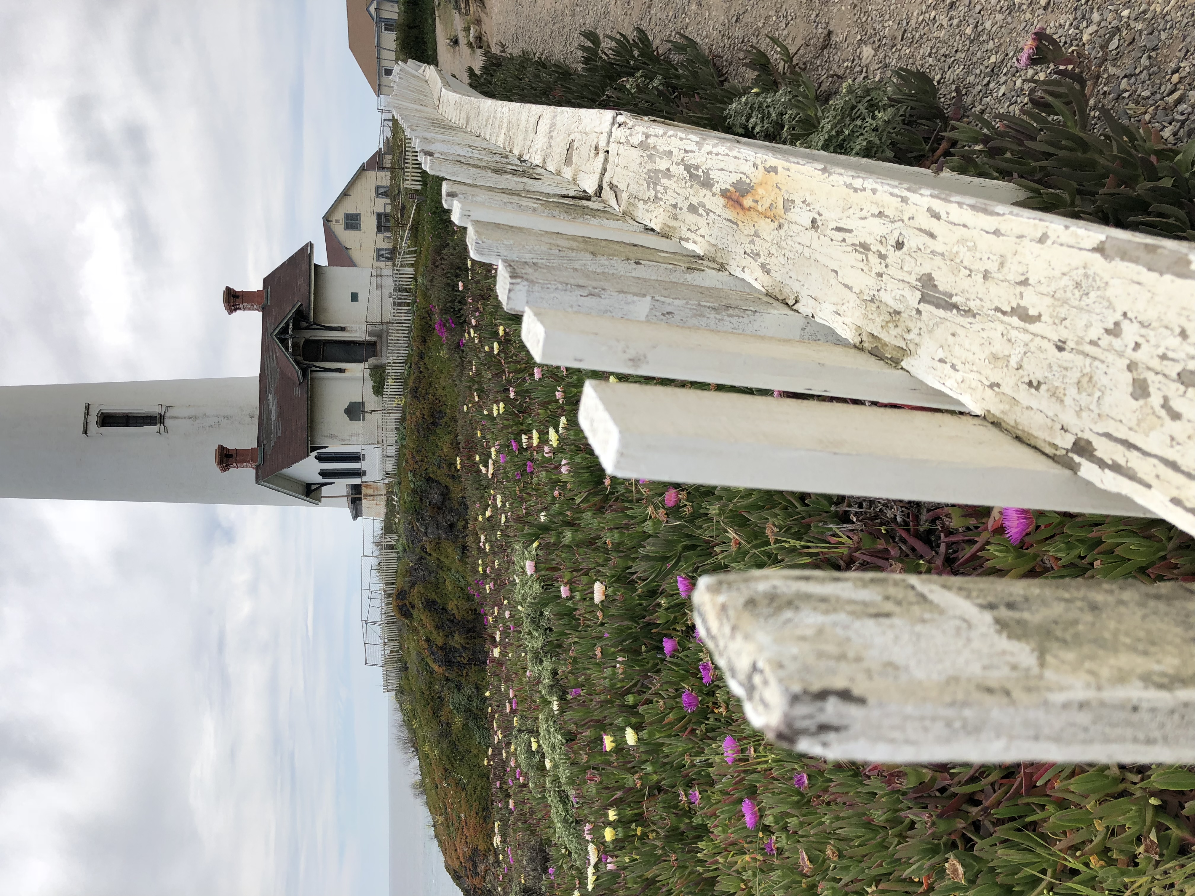 Pigeon Point Lighthouse