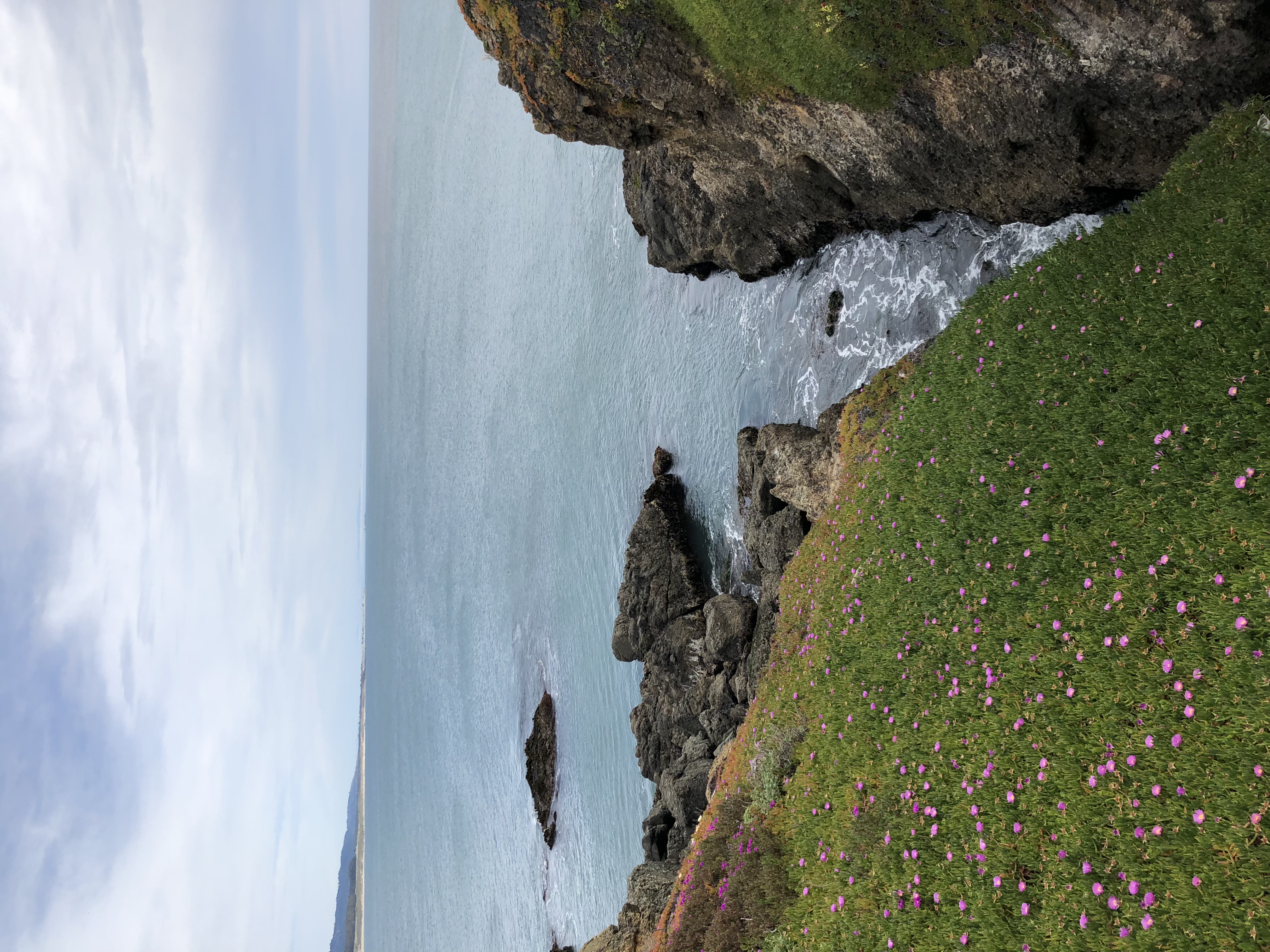 Pigeon Point Lighthouse