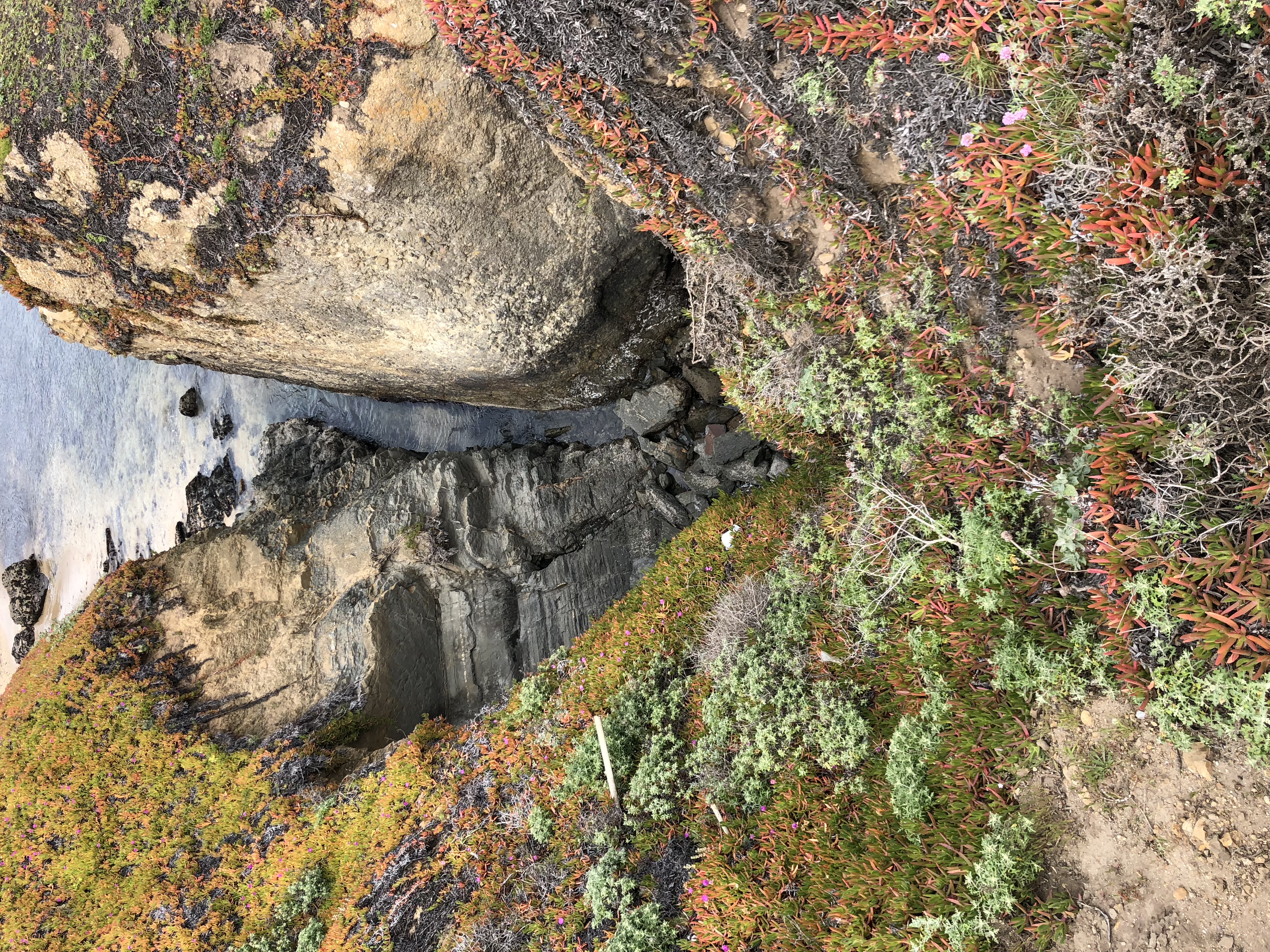 Pigeon Point Lighthouse