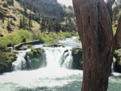 Hike to Steelhead Falls 