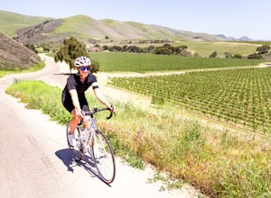 Velo Vino: 30 Miles of Cycling Perfection through the Santa Maria Wine Country