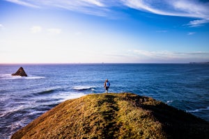 Hike the Port Orford Heads Trail