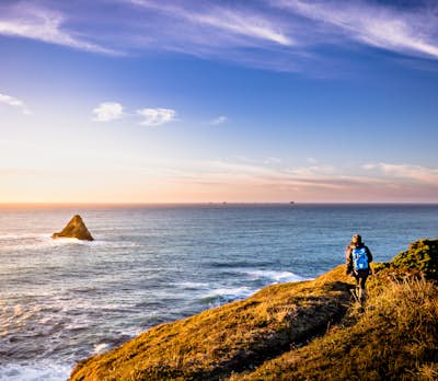 Hike the Port Orford Heads Trail