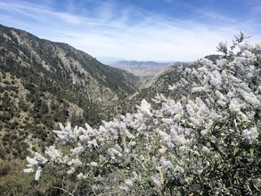 Hike South Fork Trail