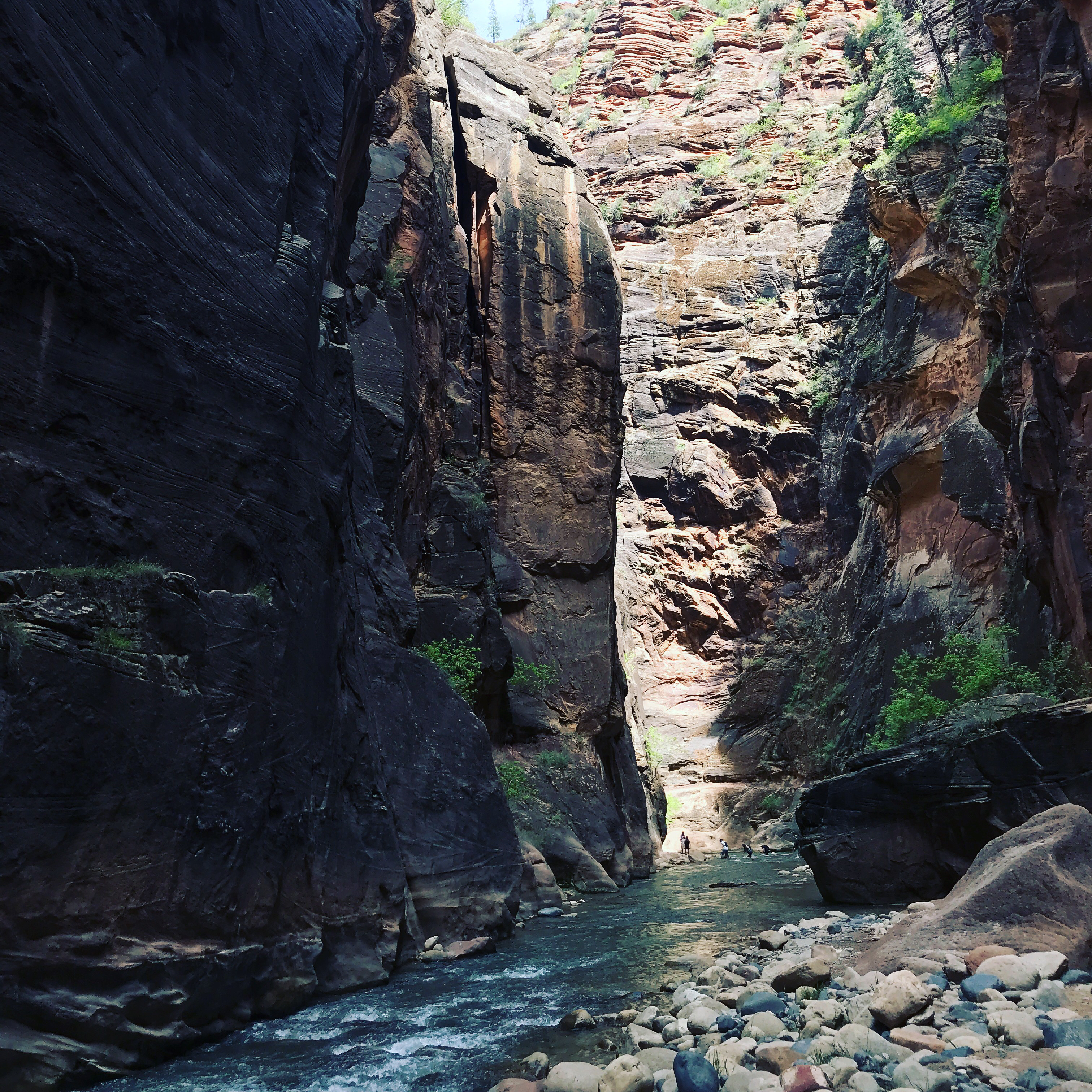 The Narrows, Zion NP