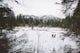 Hike through Mount Fernie Provincial Park
