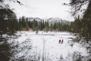 Hike through Mount Fernie Provincial Park