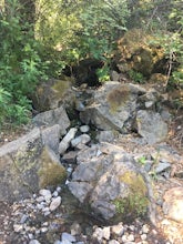 Hike the Waterfalls of Mount Diablo Loop Trail 