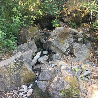 Hike the Waterfalls of Mount Diablo Loop Trail 