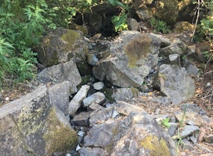 Hike the Waterfalls of Mount Diablo Loop Trail 