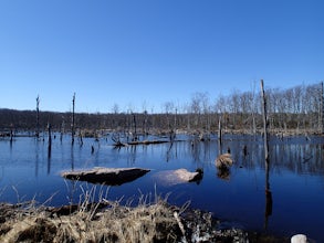 Hike the Terrace Pond North - South Loop