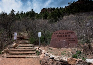 Hike Palmer Trail Loop at Section 16