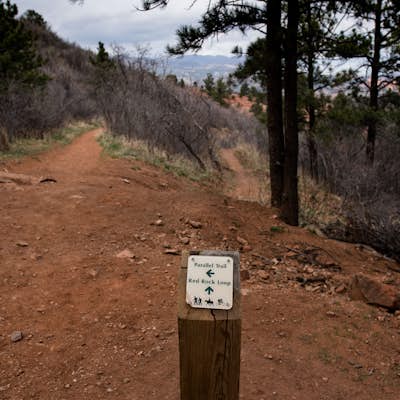 Hike Palmer Trail Loop at Section 16