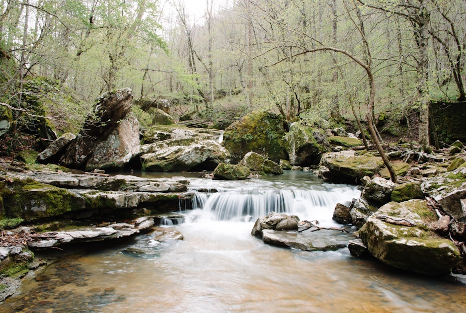 Hike to Magnolia Falls, Magnolia Falls Trailhead