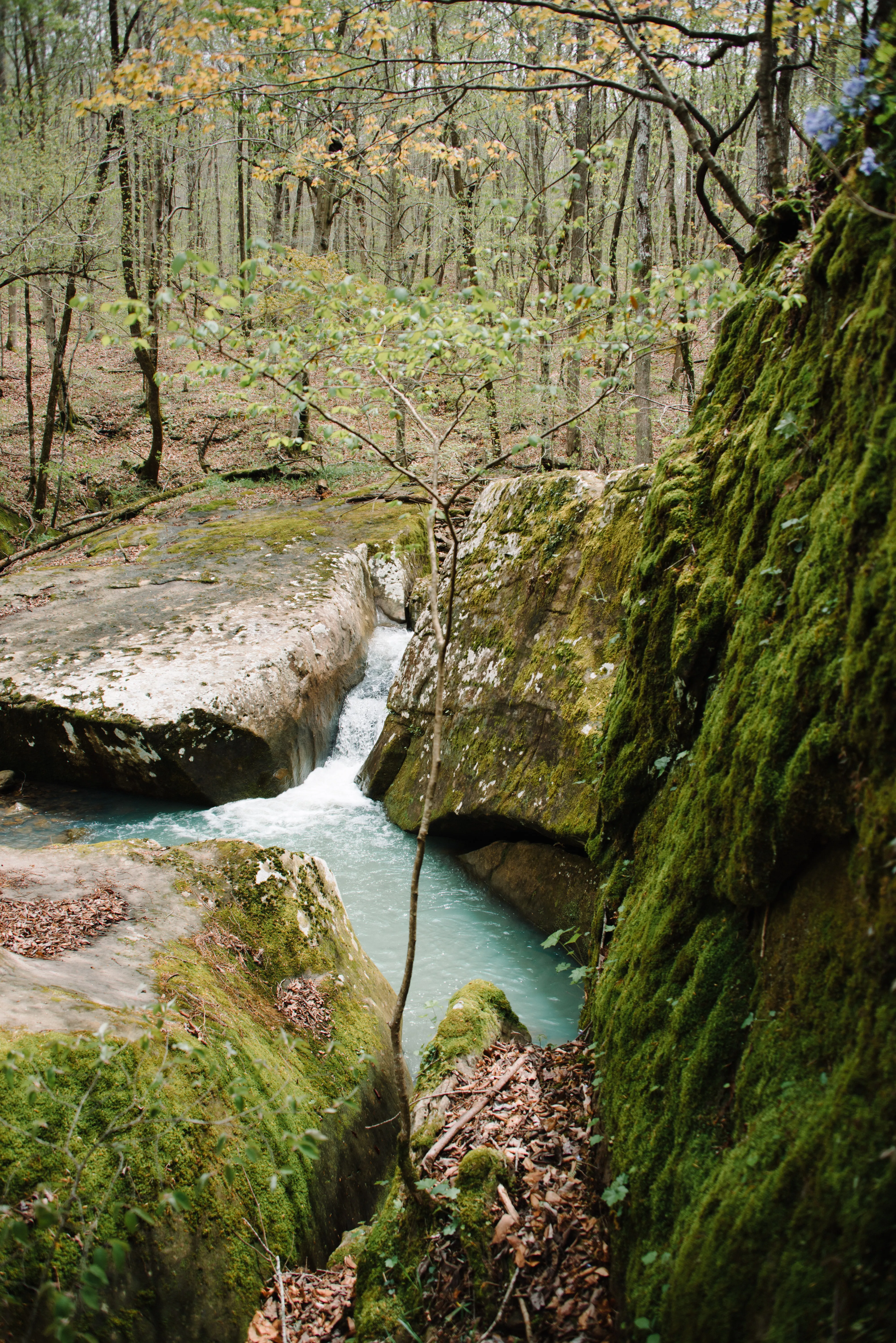 Hike Big Spring Trail