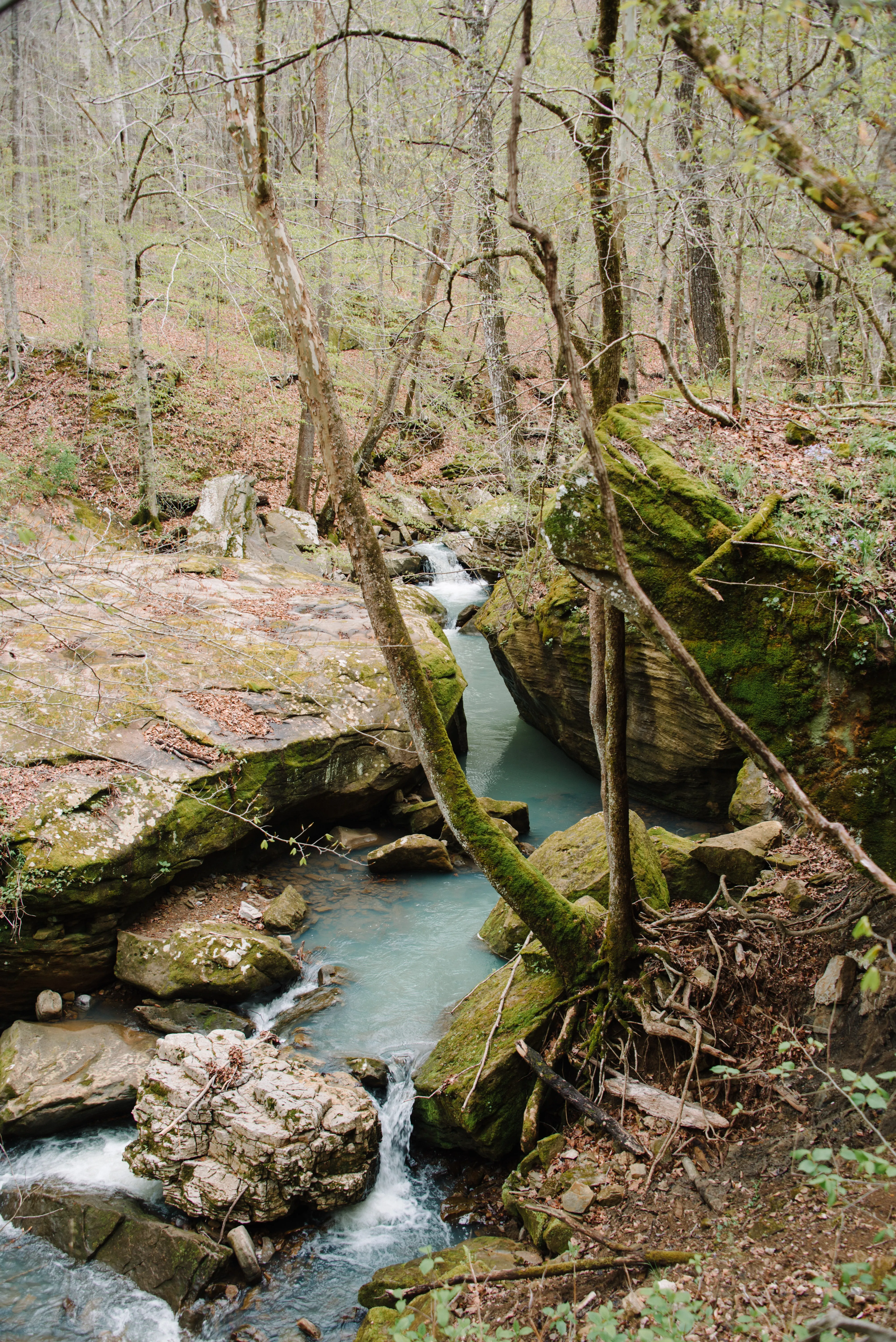 Hike Big Spring Trail