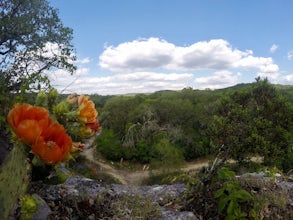 Government Canyon Loop