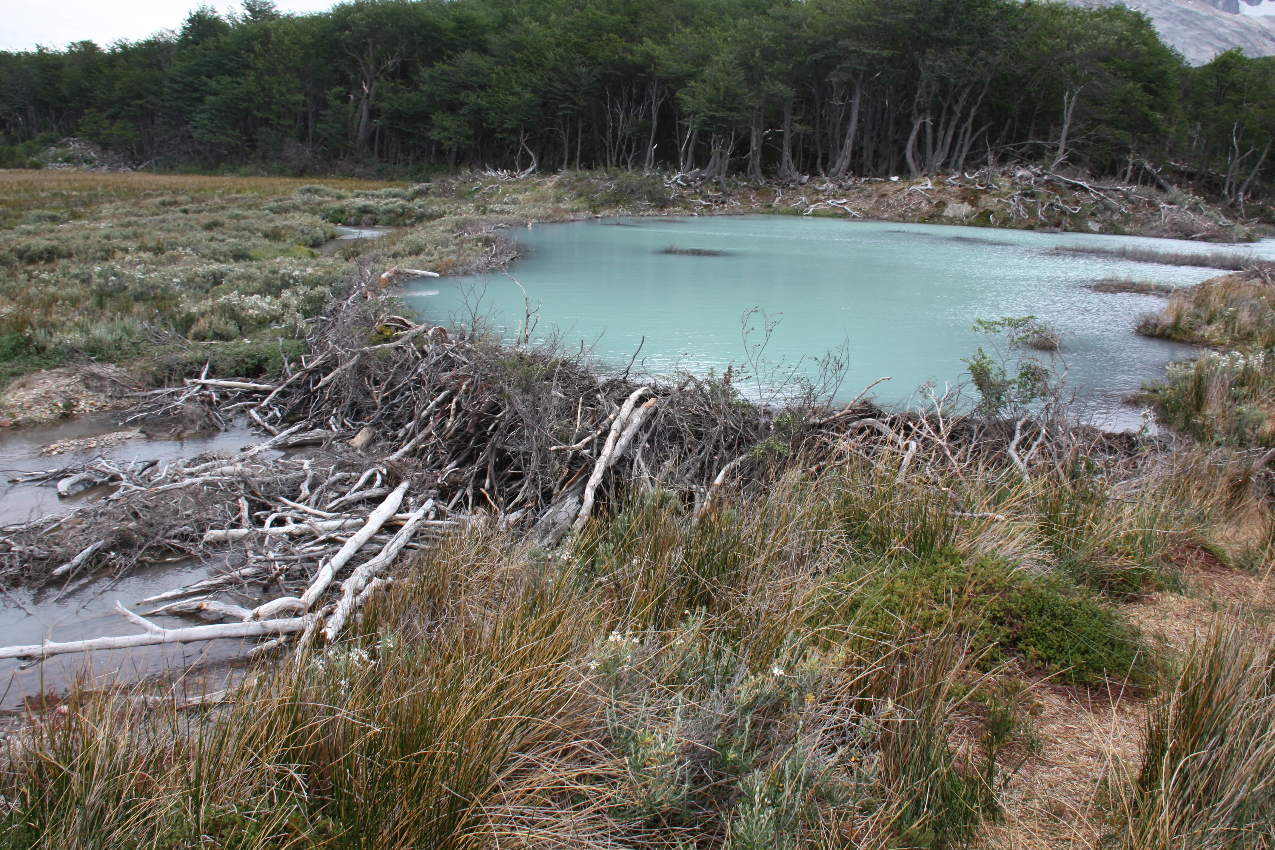 Hike to Laguna Esmeralda