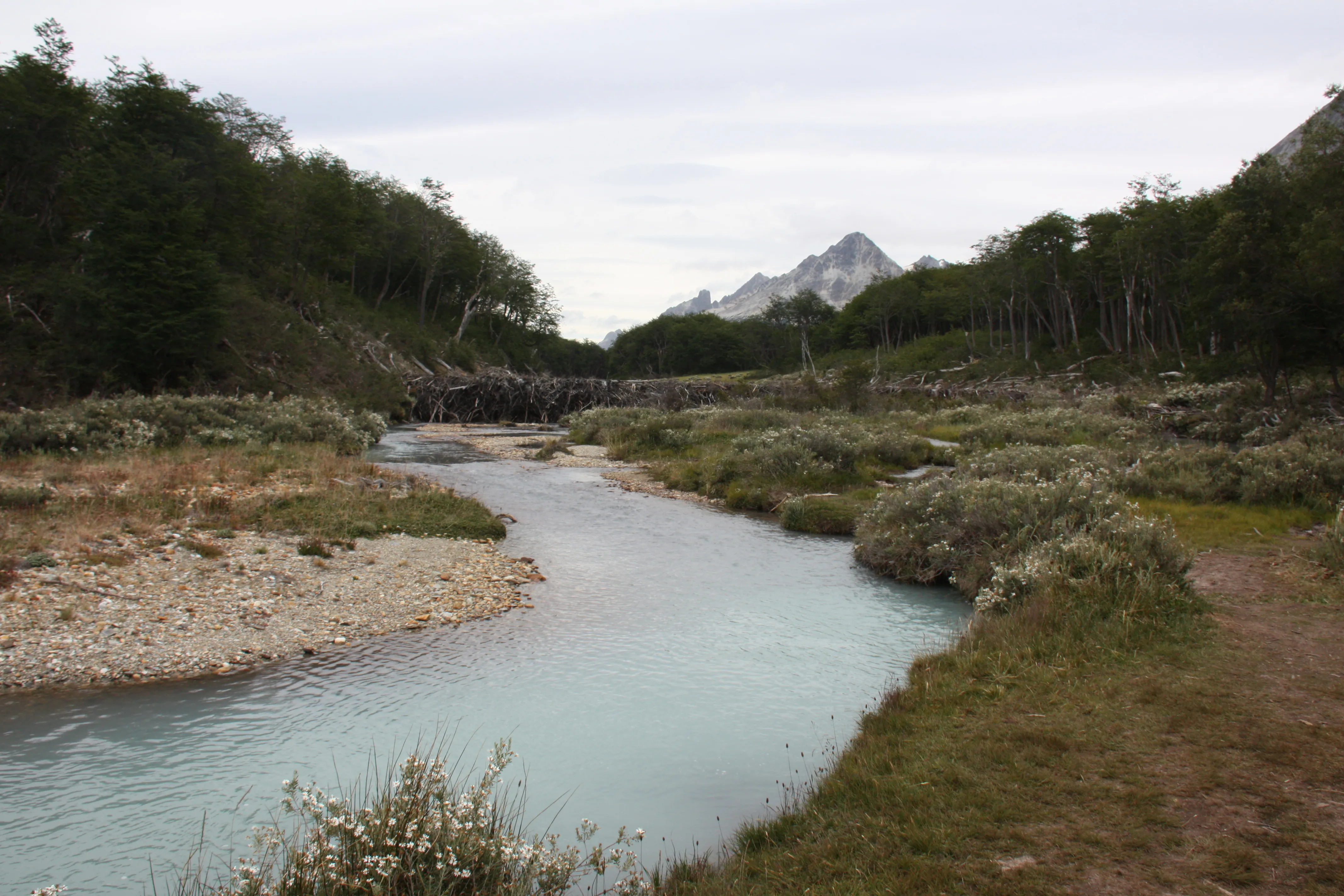 Hike to Laguna Esmeralda
