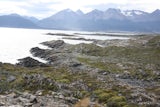 Photos of Cascada Río Pipo - Tierra Del Fuego, Argentina