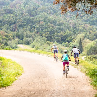 Bike the Sulphur Mountain Loop