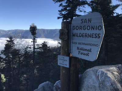 Summit Mt. San Bernardino from Angelus Oaks