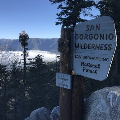 Summit Mt. San Bernardino from Angelus Oaks