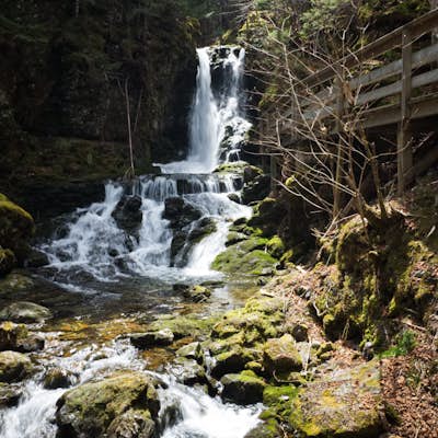Explore Dickson Falls in Fundy National Park