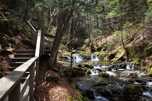 Explore Dickson Falls in Fundy National Park