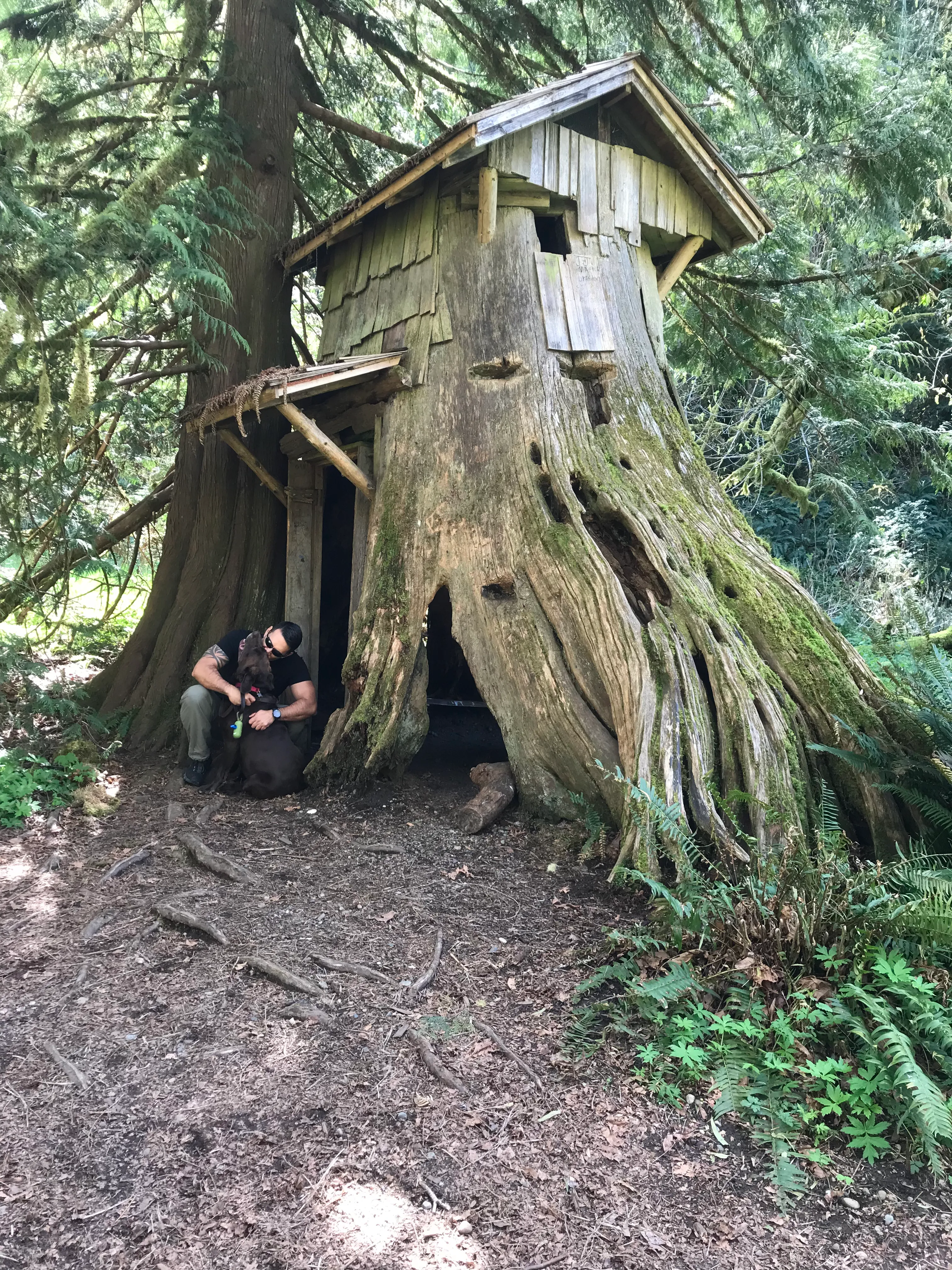 Guillemont Cove Stump House and Beach House