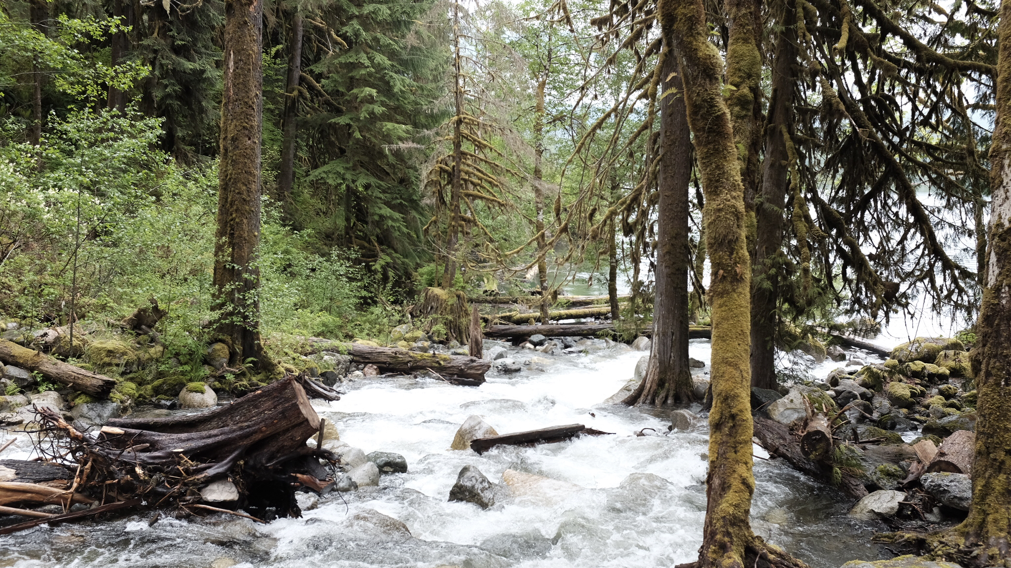 Hike the East Bank of Baker Lake