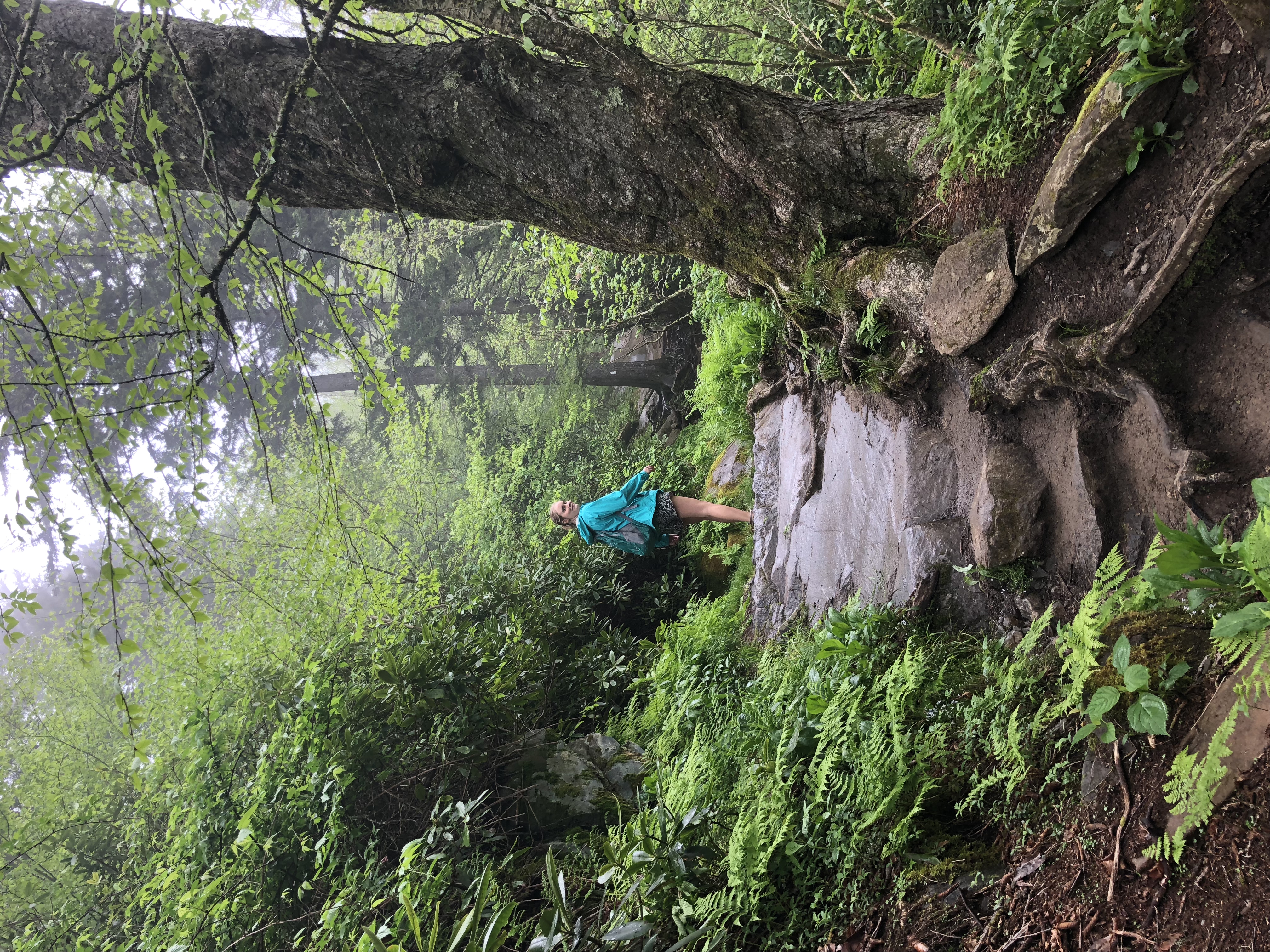 Charlies Bunion via Appalachian Trail