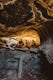 Explore the Mammoth Cave Lava Tubes