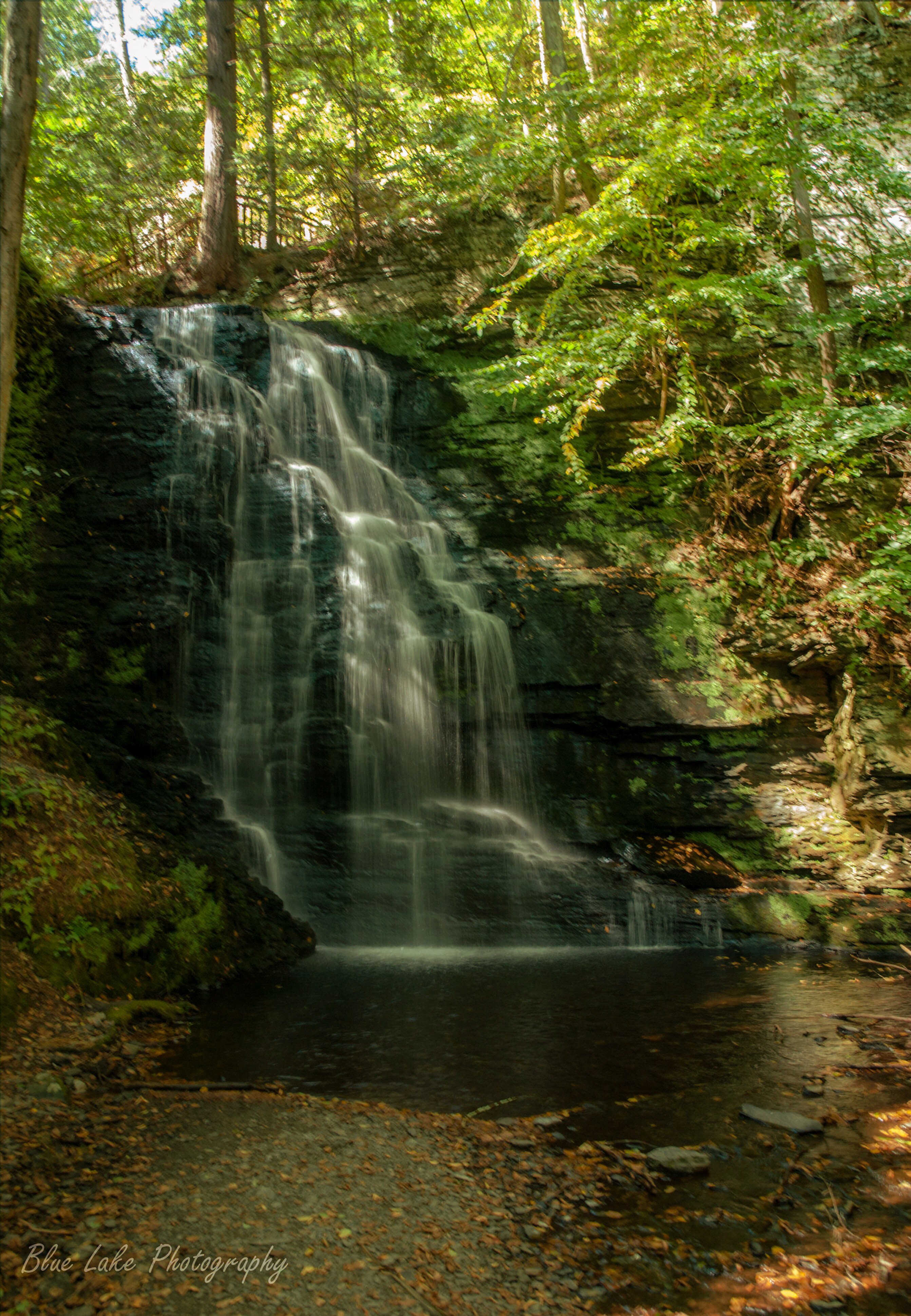 Bushkill Falls Loop