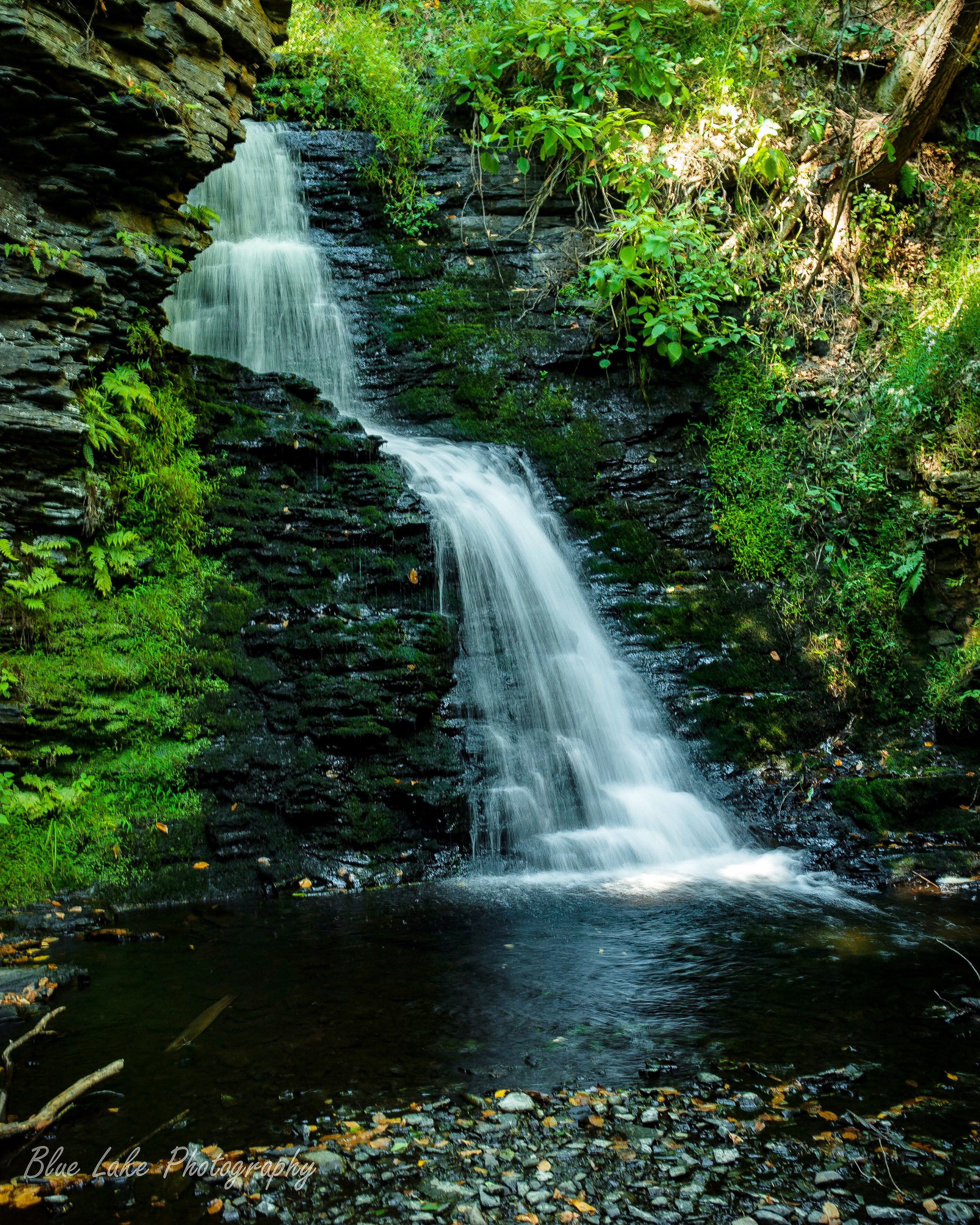 Bushkill Falls Loop