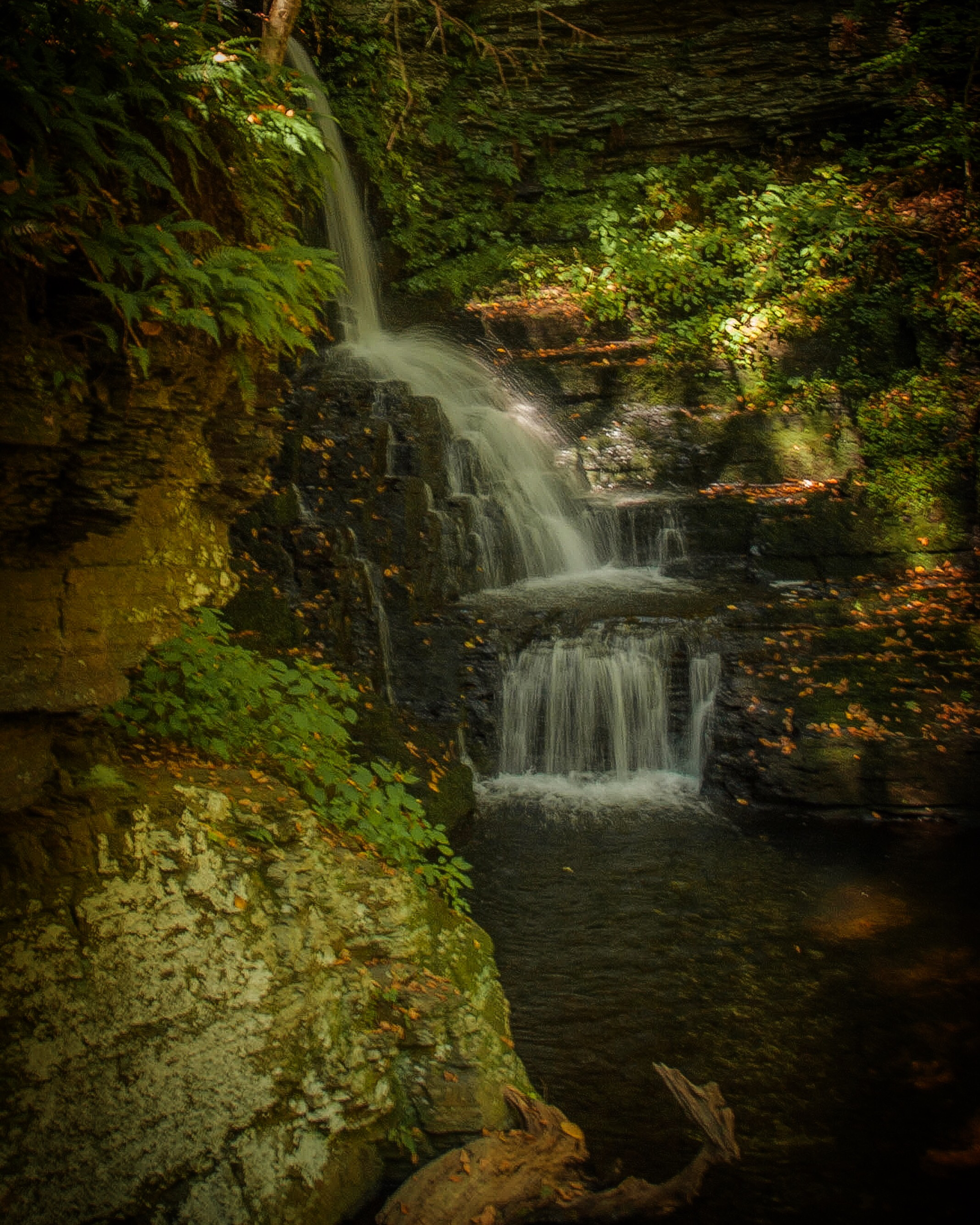 Bushkill Falls Loop